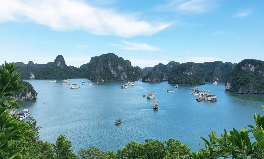 Forbes: Vịnh Hạ Long là một trong 24 điểm đến hấp dẫn nhất thế giới năm 2024 Forbes: Vịnh Hạ Long là một trong 24 điểm đến hấp dẫn nhất thế giới năm 2024