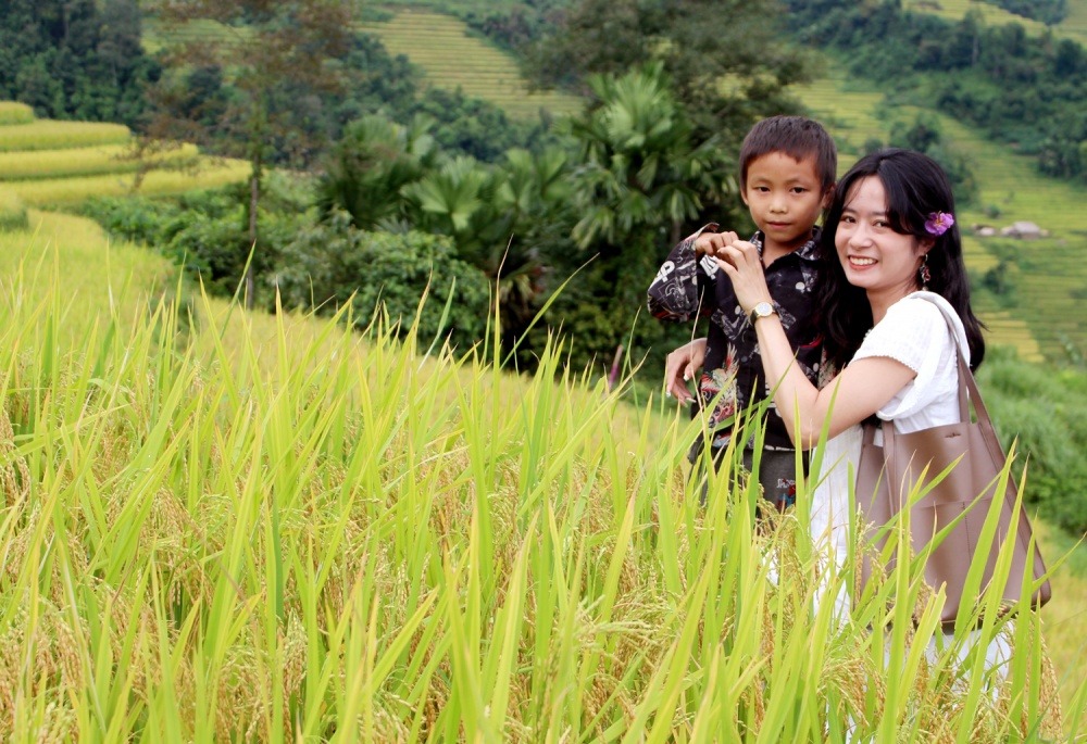Ngắm ruộng bậc thang mùa lúa chín tại thành phố Hà Giang
