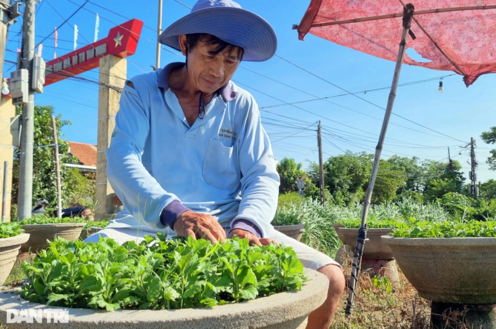 Những người gom nắng Những người gom nắng