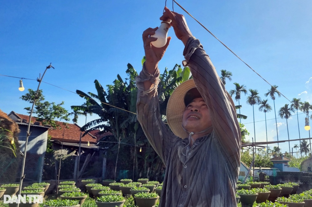 Những người gom nắng Những người gom nắng