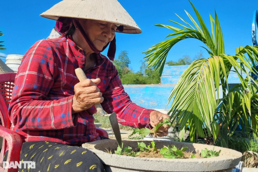 Những người gom nắng Những người gom nắng