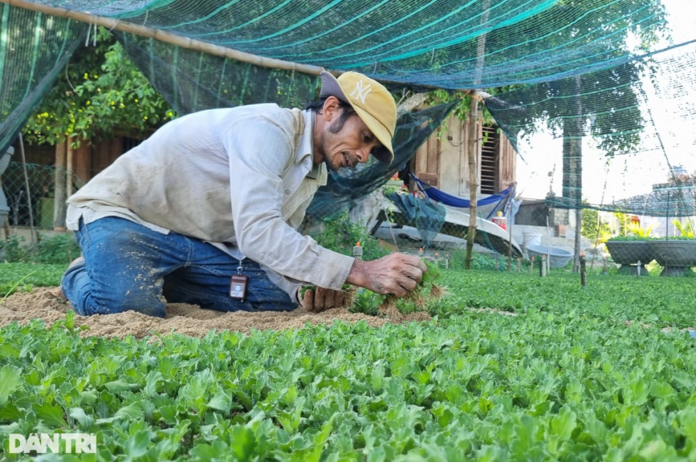 Những người gom nắng Những người gom nắng