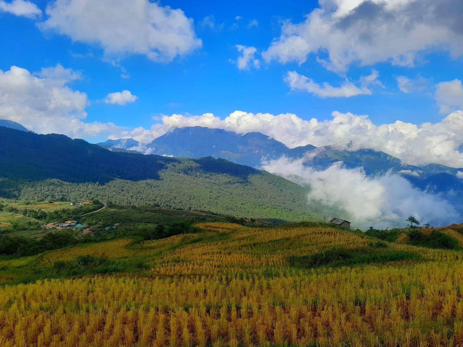 Kinh nghiệm di chuyển từ Hà Nội lên săn mây Y Tý Kinh nghiệm di chuyển từ Hà Nội lên săn mây Y Tý