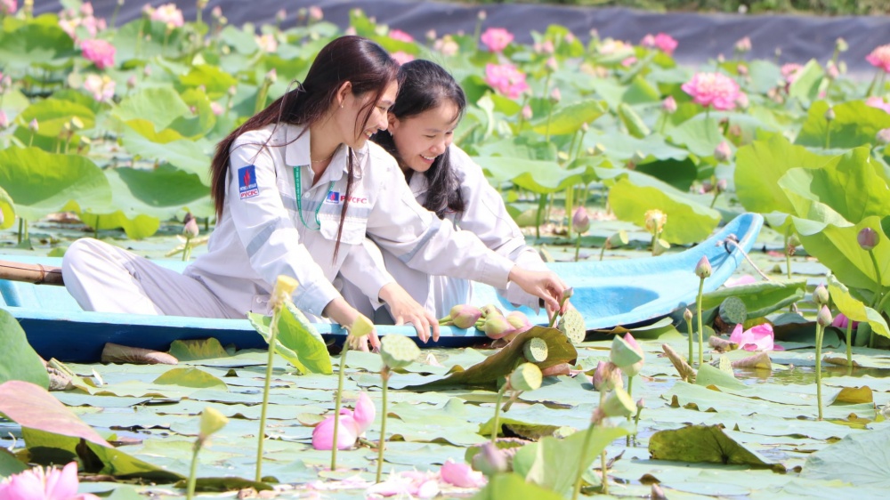 Tác phẩm dự thi 