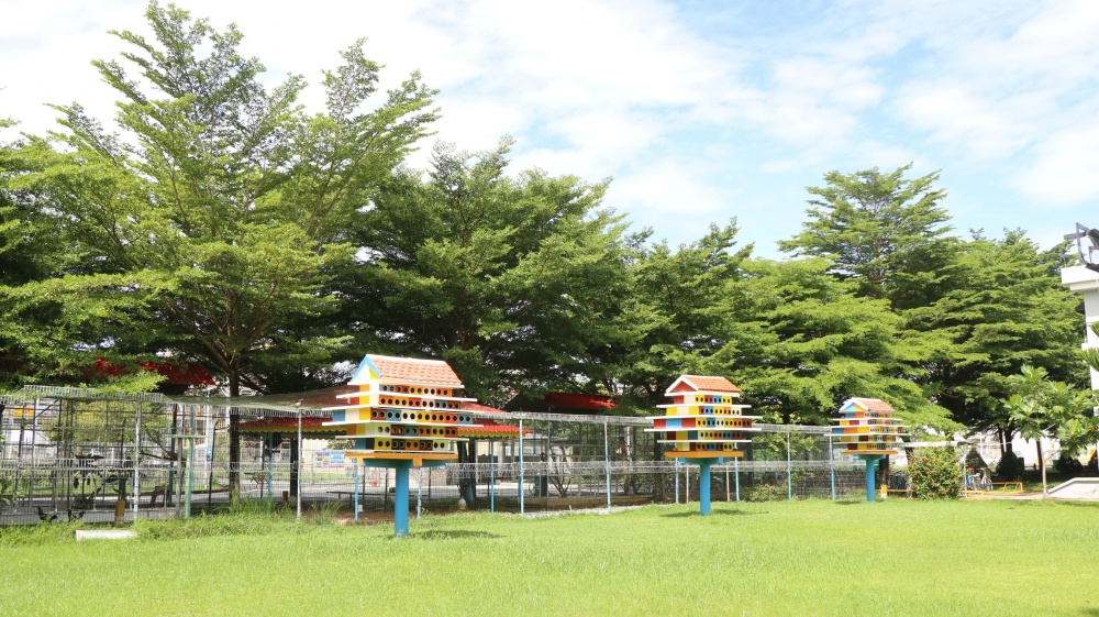 Tác phẩm dự thi 