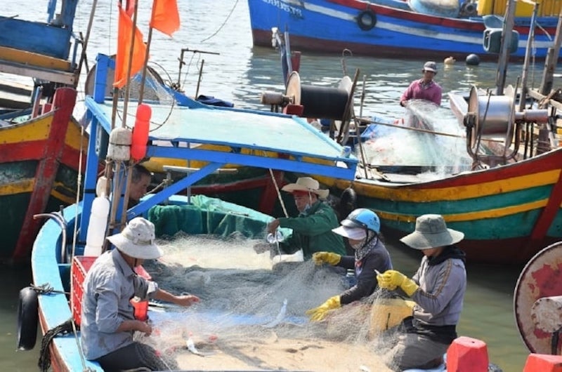 Gỡ "thẻ vàng" IUU: Nỗ lực sắp thành hiện thực? | Doanh nghiệp Gỡ "thẻ vàng" IUU: Nỗ lực sắp thành hiện thực? | Doanh nghiệp