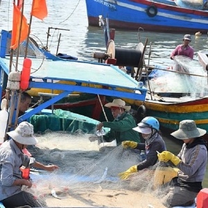 Gỡ 