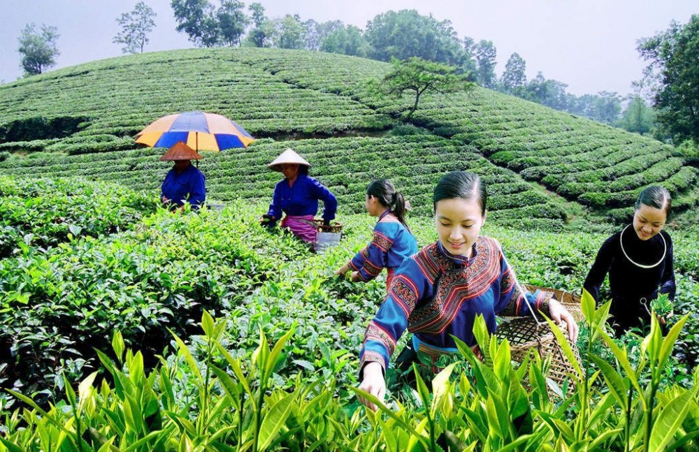 Bổ sung kế hoạch đầu tư vốn các chương trình mục tiêu quốc gia Bổ sung kế hoạch đầu tư vốn các chương trình mục tiêu quốc gia