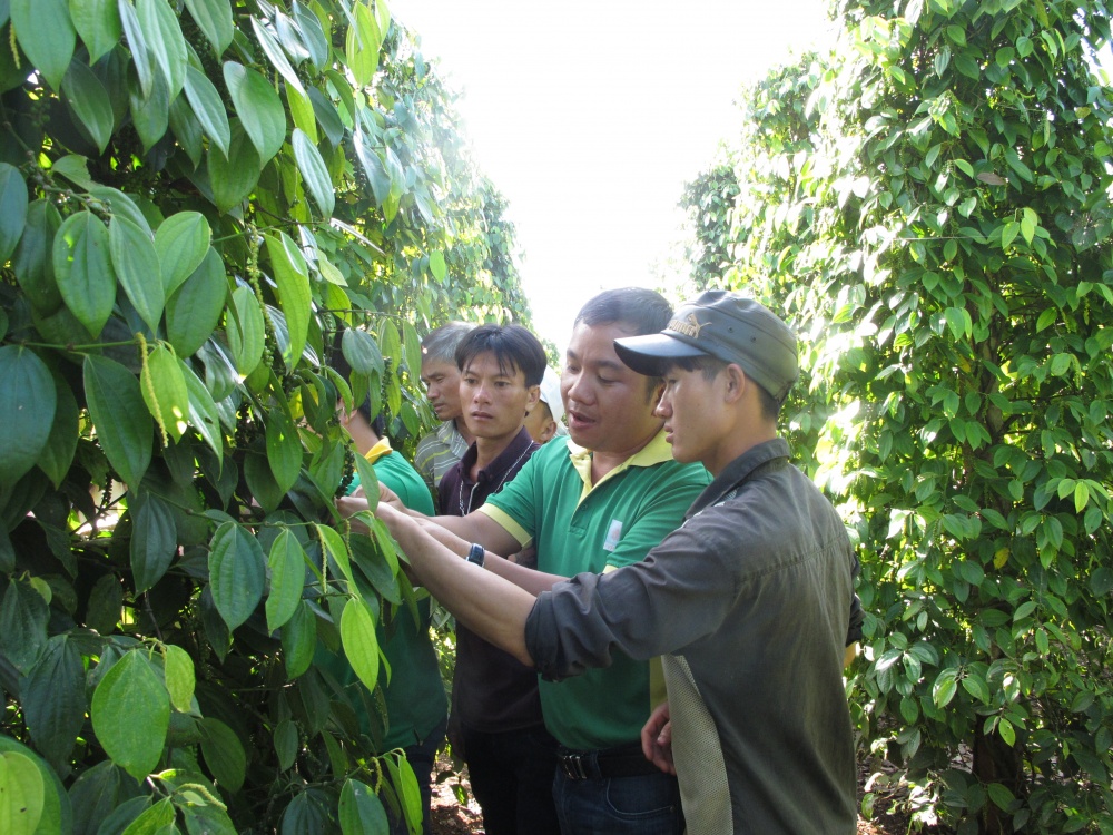 Tác phẩm dự thi 