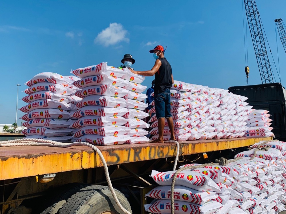 Tác phẩm dự thi 