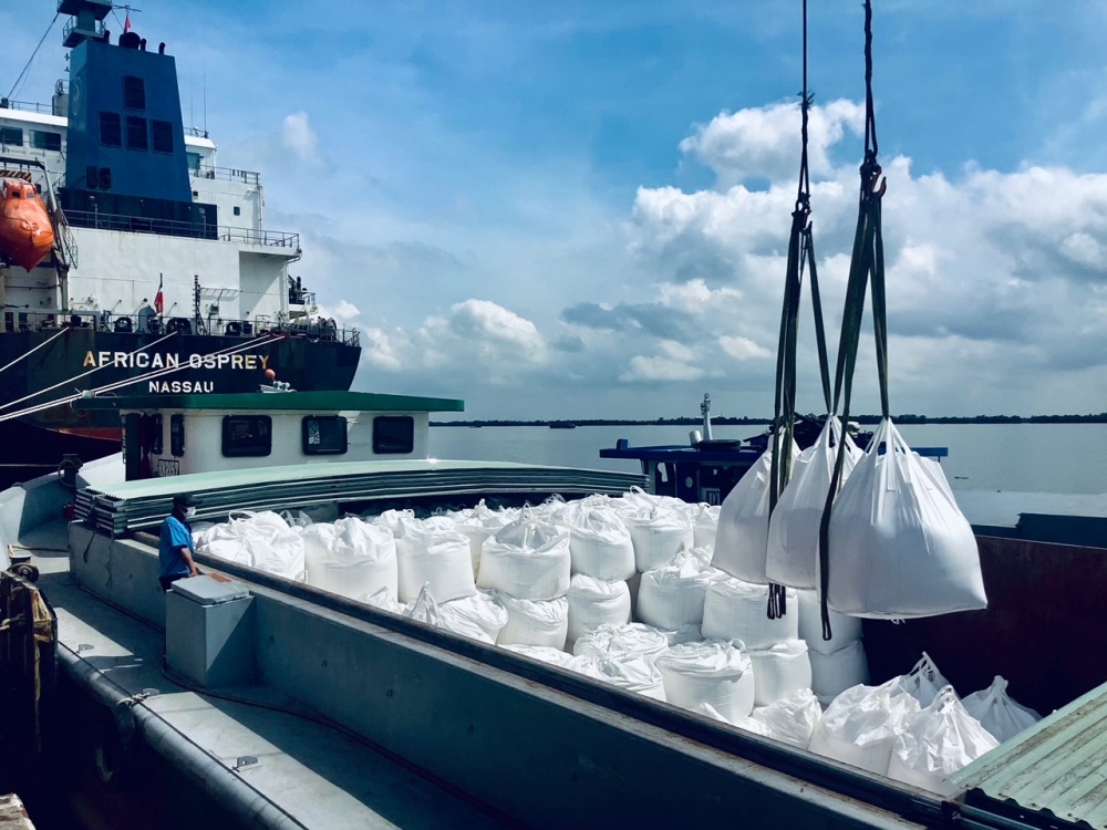 Tác phẩm dự thi 