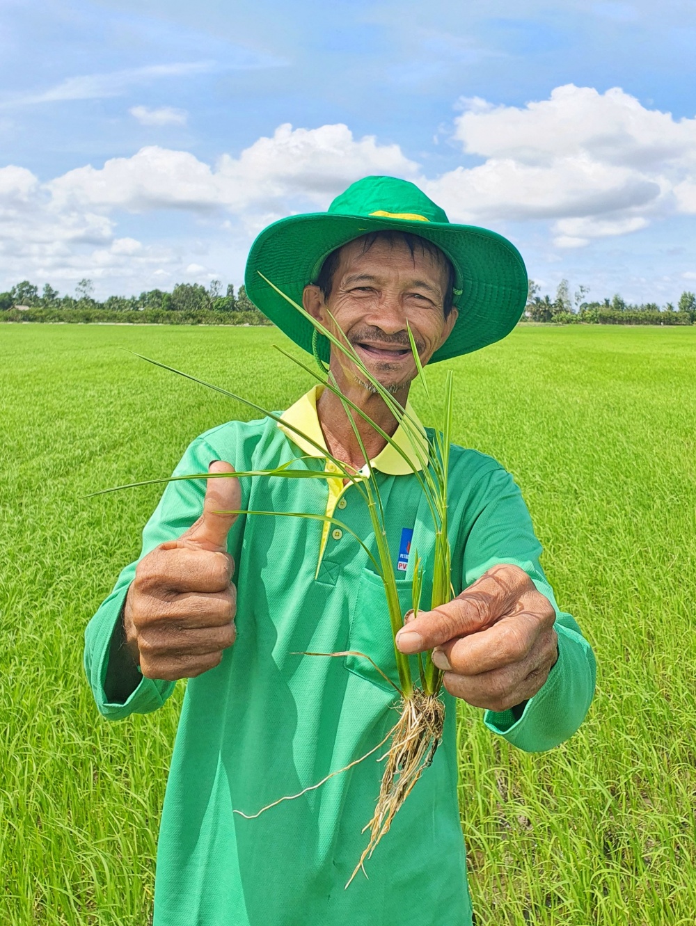 Tác phẩm dự thi 