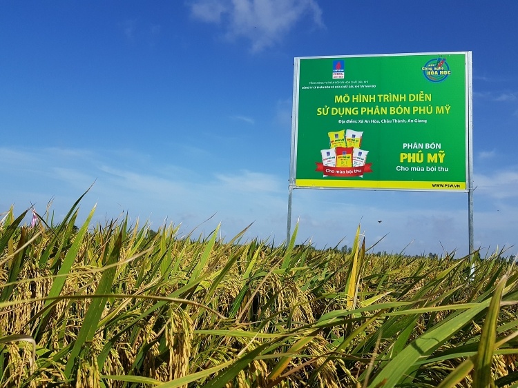 Tác phẩm dự thi 