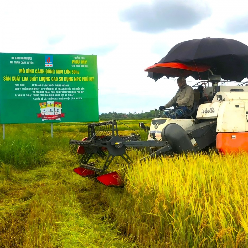 Tác phẩm dự thi 