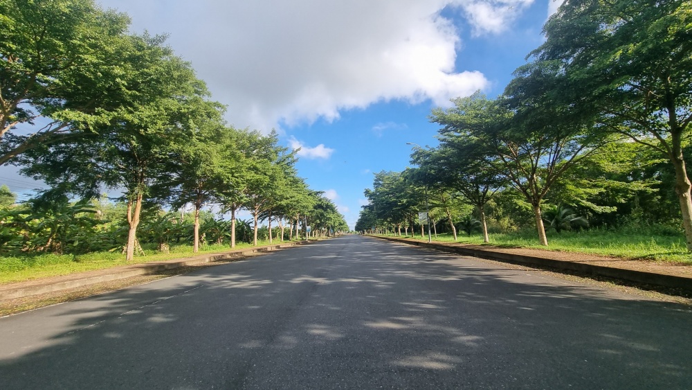 Tác phẩm dự thi 
