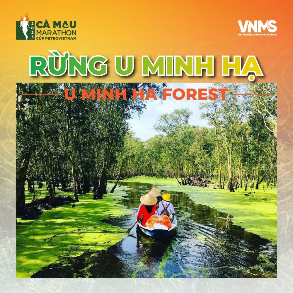 Rừng U Minh Hạ.