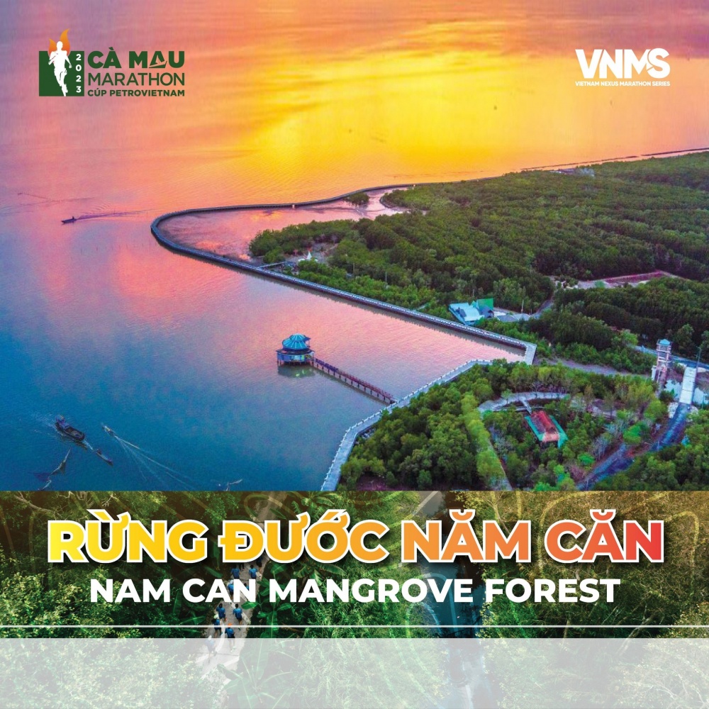 Rừng đước Năm Căn.