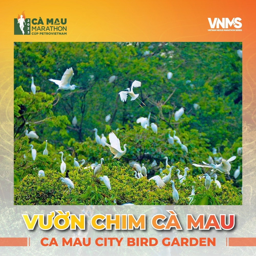Vườn chim Cà Mau.