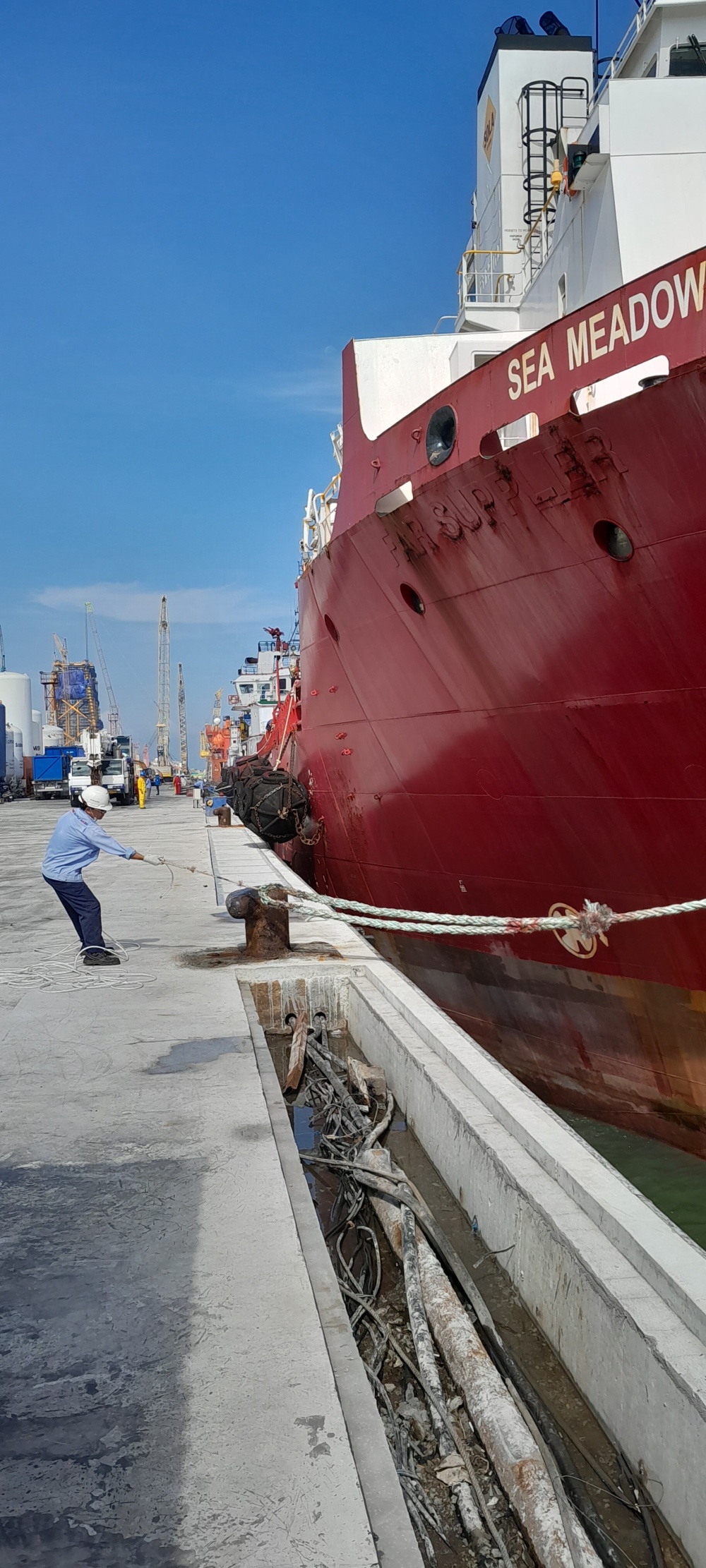 Tác phẩm dự thi 
