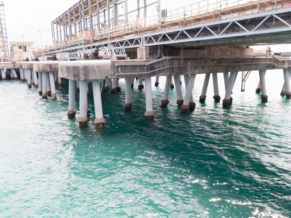 Tác phẩm dự thi 