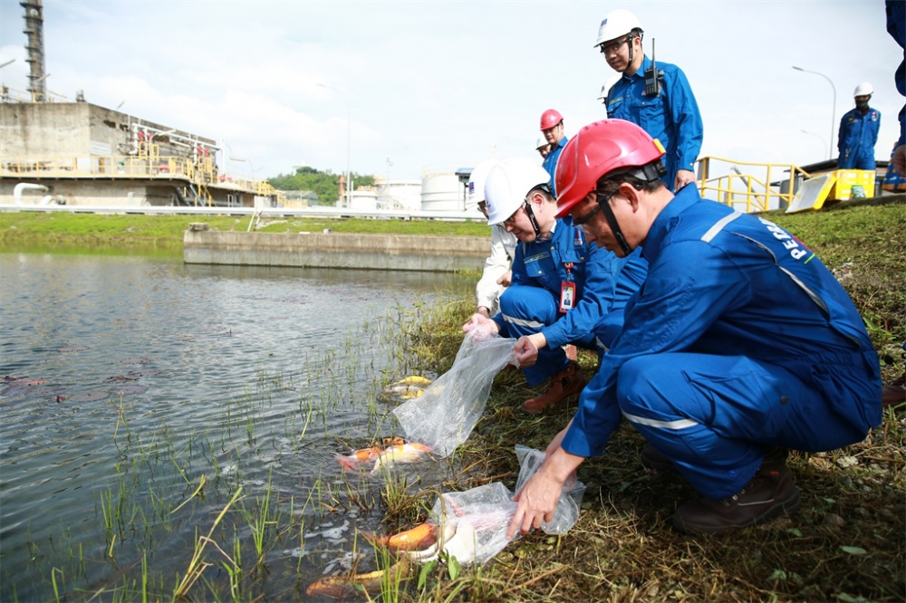 Đoàn Thanh niên BSR triển khai công trình “Cải tạo cảnh quang môi trường tại phân xưởng xử lý nước thải của Nhà máy Lọc dầu Dung Quất”