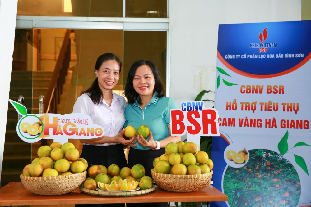 CBCNV BSR chung tay “giải cứu” cam vàng cho bà con Hà Giang