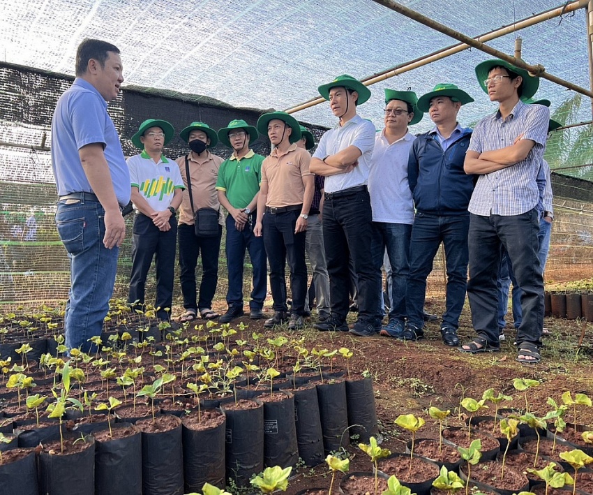 Chuyện kinh doanh NPK Phú Mỹ: Tận tâm với ruộng vườn, bà con nông dân