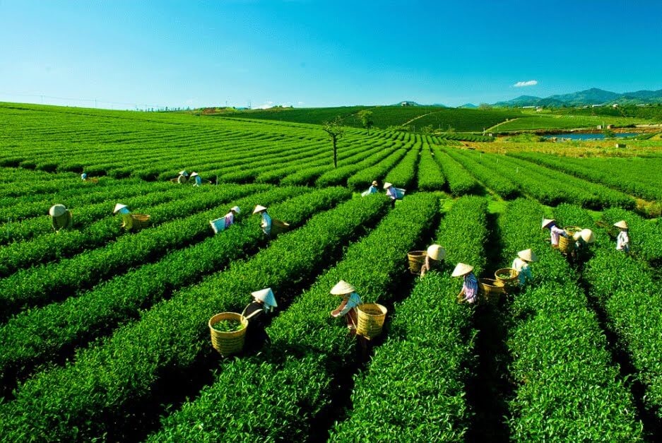 Du lịch Thái Nguyên - Khám phá và trải nghiệm Du lịch Thái Nguyên - Khám phá và trải nghiệm