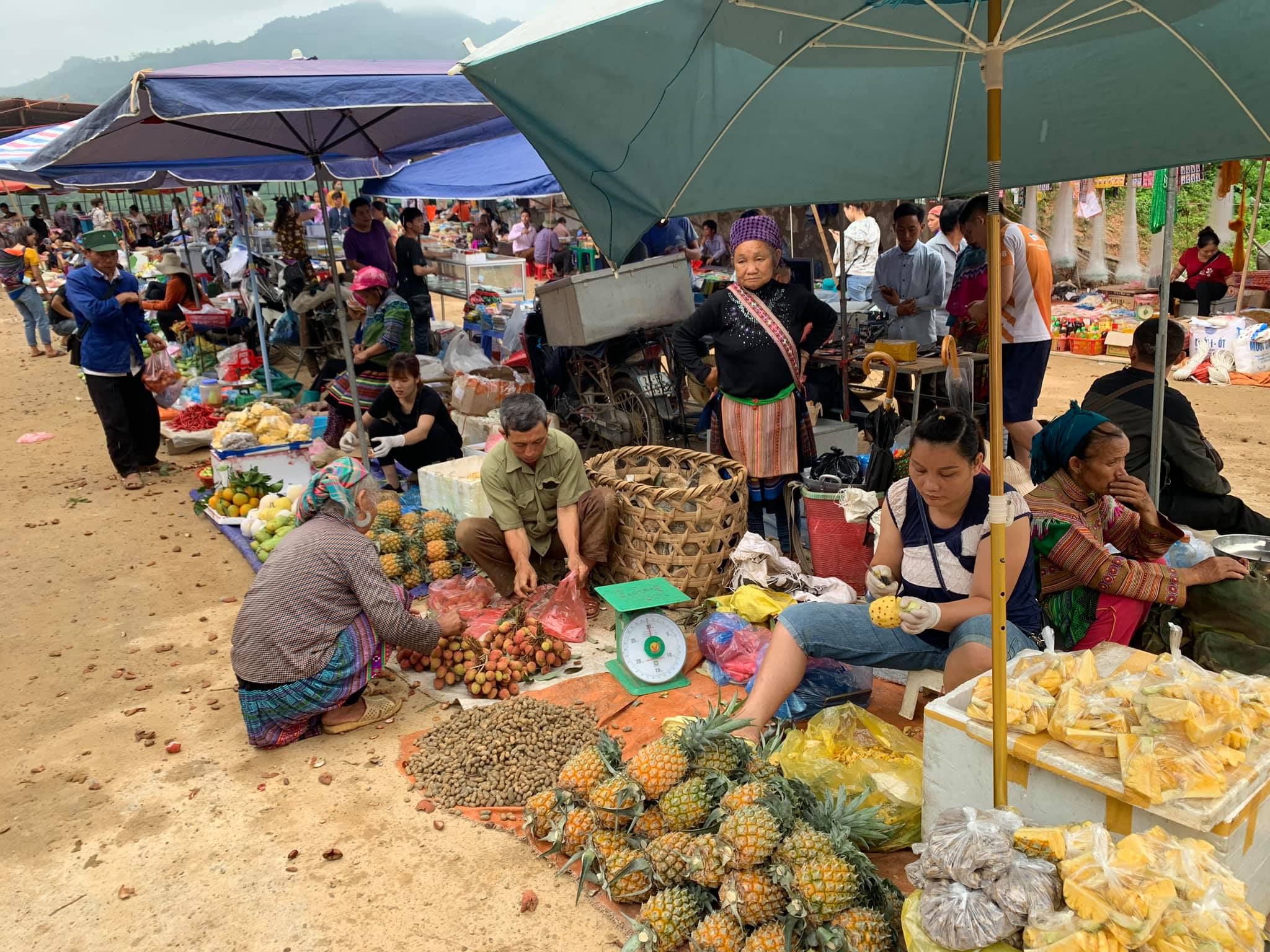 5 trải nghiệm đáng giá vào mùa đông ở Bắc Hà 5 trải nghiệm đáng giá vào mùa đông ở Bắc Hà