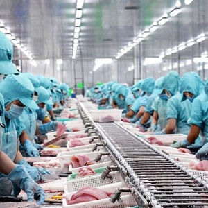 Tin tức kinh tế ngày 19/11: Xuất khẩu thủy sản sang Trung Quốc còn nhiều dư địa