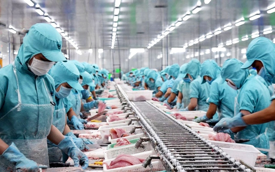 Tin tức kinh tế ngày 19/11: Xuất khẩu thủy sản sang Trung Quốc còn nhiều dư địa Tin tức kinh tế ngày 19/11: Xuất khẩu thủy sản sang Trung Quốc còn nhiều dư địa