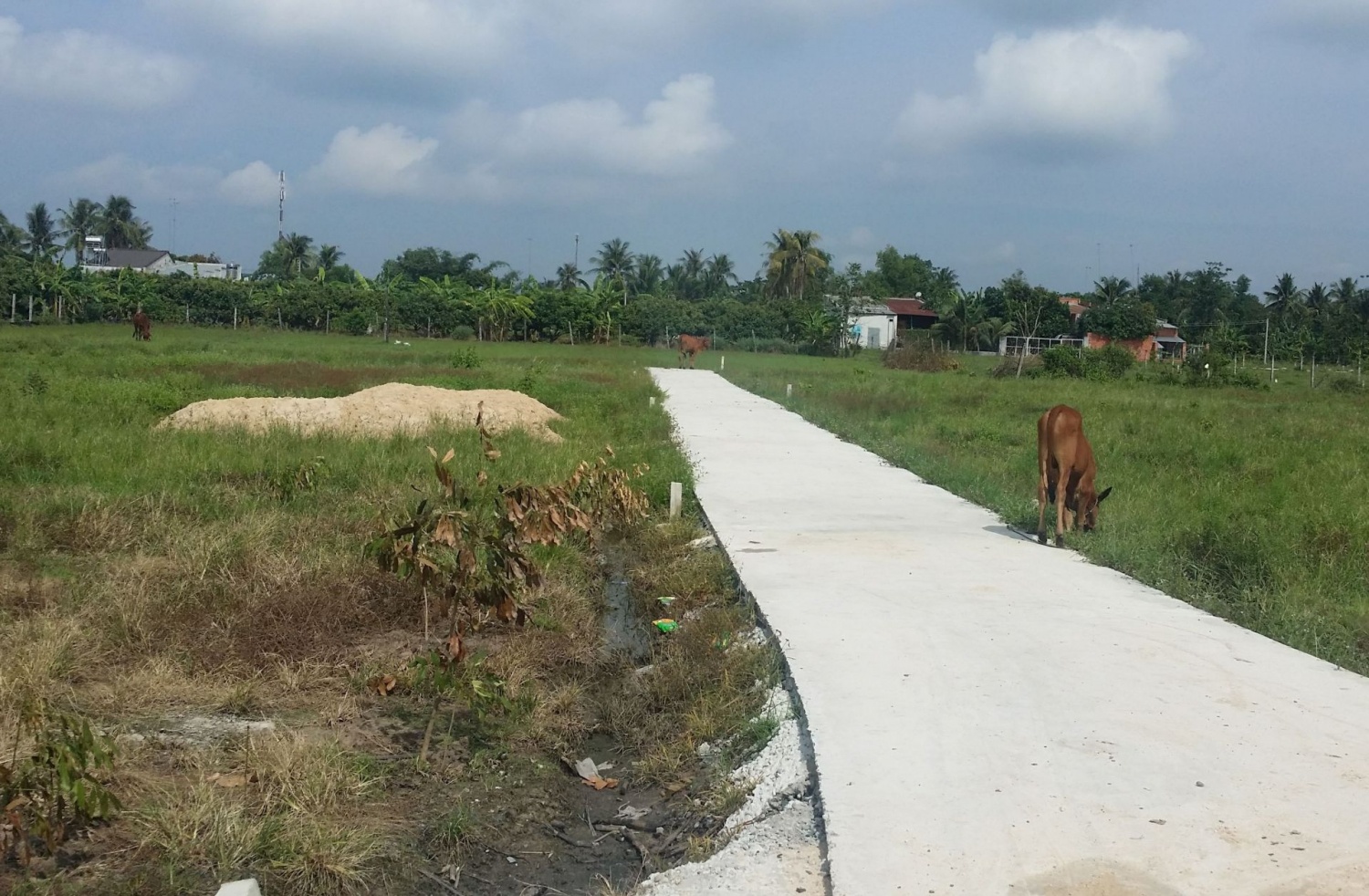 Tin bất động sản tuần qua: Chung cư cũ ở Khánh Hòa xuống cấp nghiêm trọng