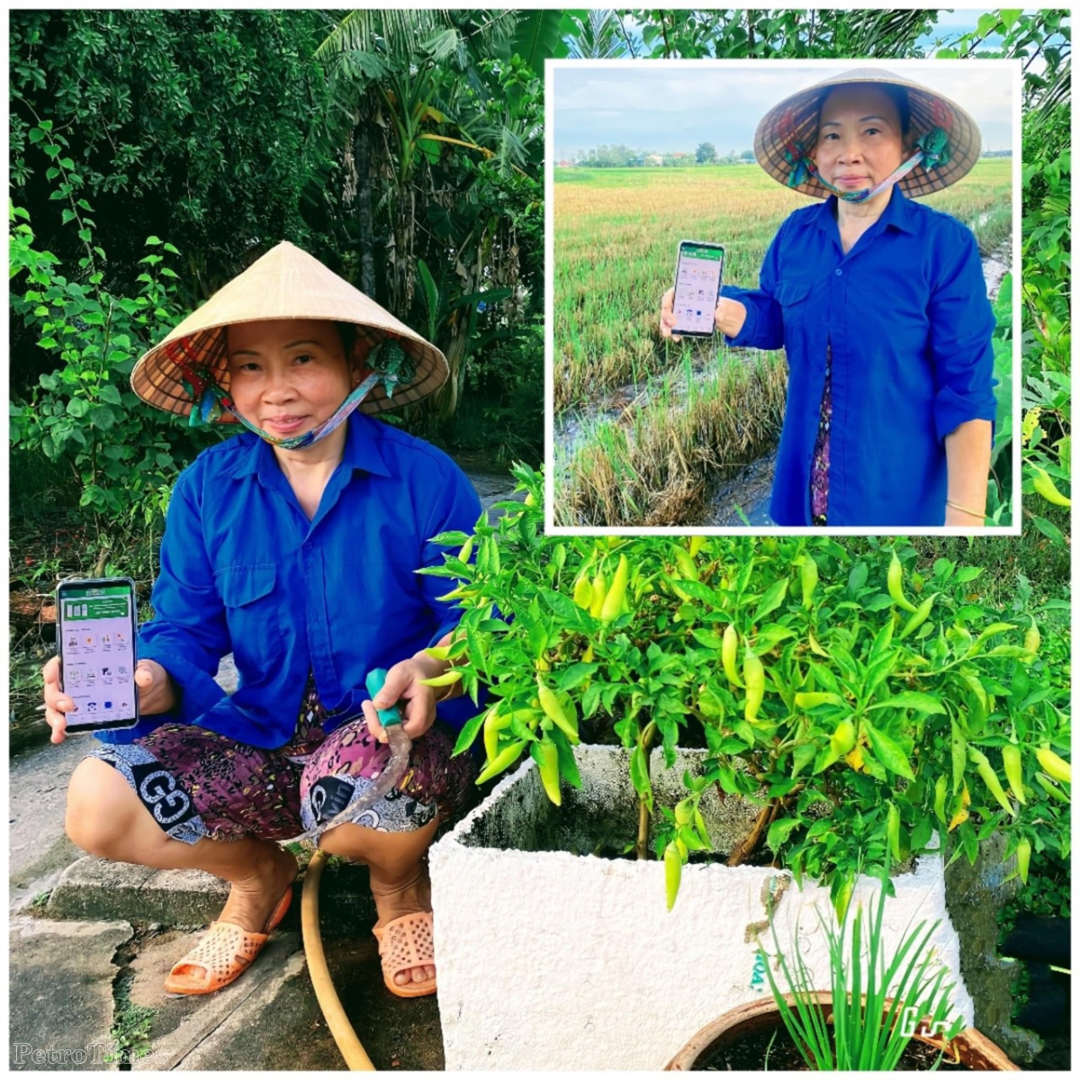 Dấu ấn đổi mới sáng tạo ở Phân bón Cà Mau Dấu ấn đổi mới sáng tạo ở Phân bón Cà Mau
