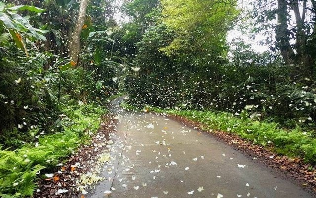 Top 10 địa điểm du lịch nổi tiếng ở Ninh Bình