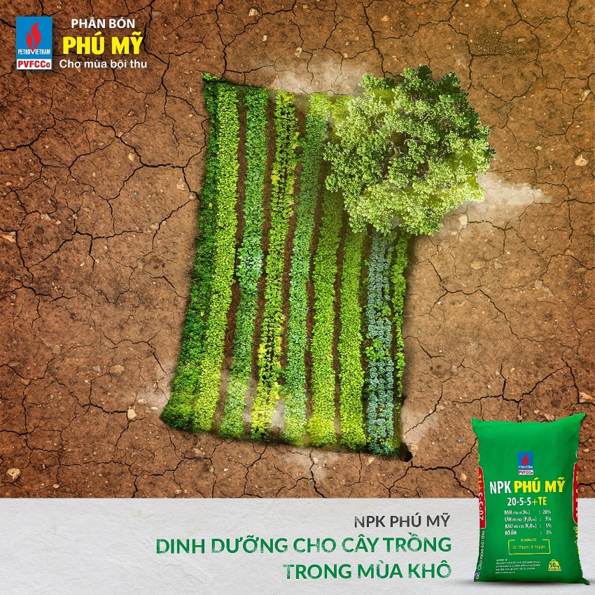 Một loại sản phẩm giúp nông dân 3 giảm, 3 tăng của Phân bón Phú Mỹ