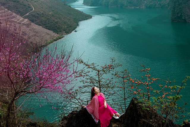 Hà Giang - Điểm đến của những sắc hoa