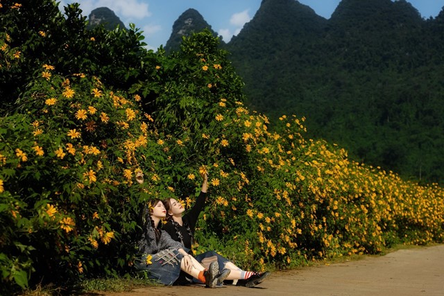 Hà Giang - Điểm đến của những sắc hoa