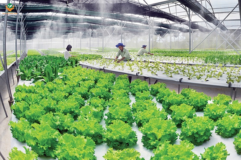Tín hiệu tích cực cho kinh tế Việt Nam năm 2024