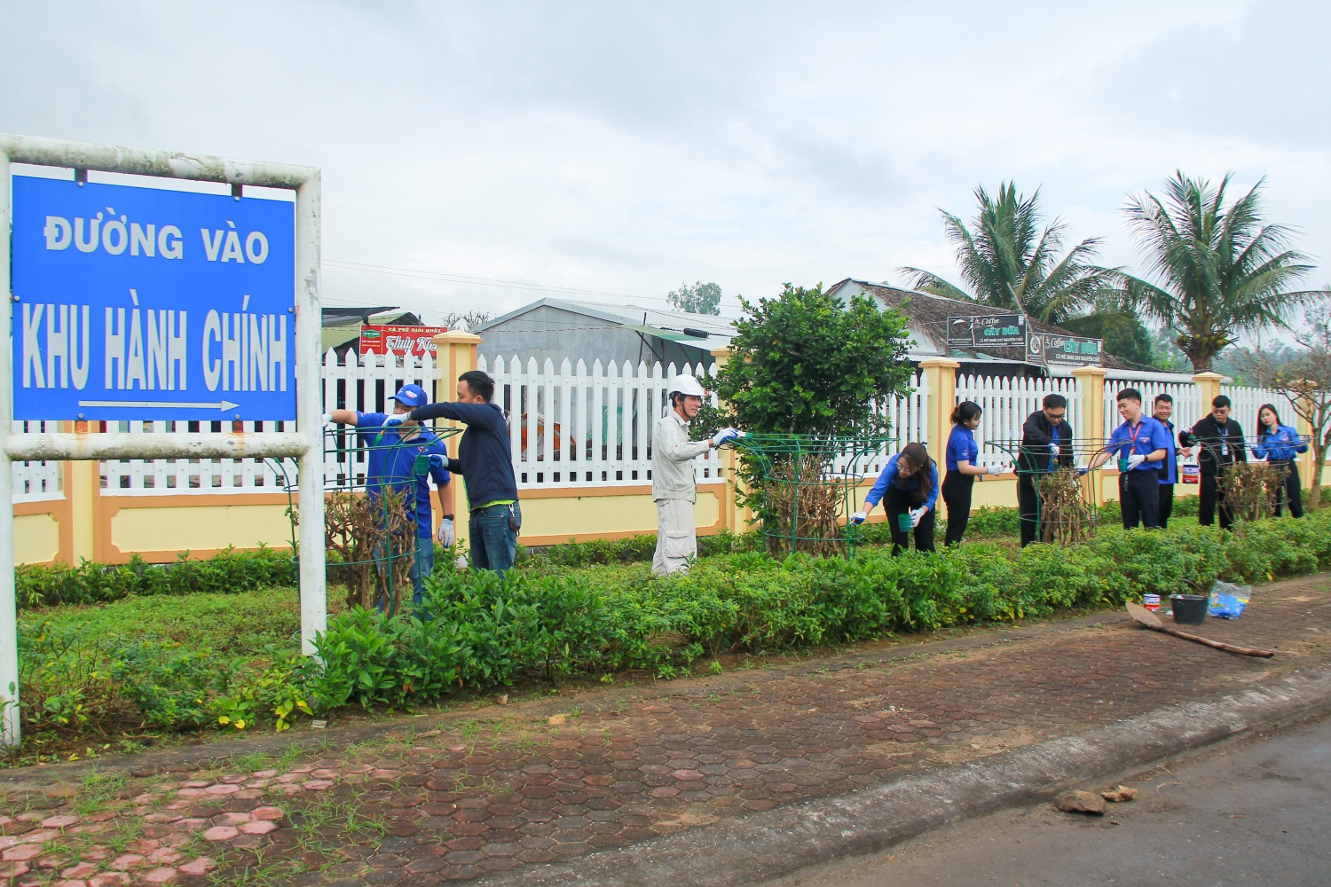 Đoàn Thanh niên BSR tổ chức trồng cây, làm đẹp tuyến đường vào NMLD Dung Quất