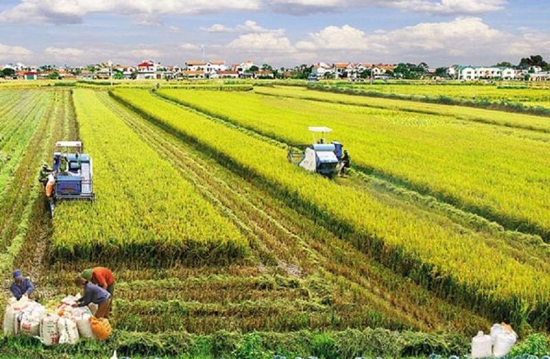 Tin bất động sản ngày 23/1: 80% đơn vị môi giới rời bỏ thị trường Tin bất động sản ngày 23/1: 80% đơn vị môi giới rời bỏ thị trường
