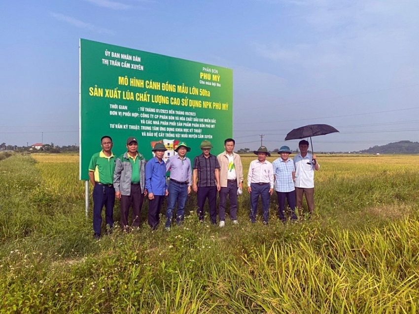 PVFCCo - Vững vàng sứ mệnh vì nông nghiệp Việt PVFCCo - Vững vàng sứ mệnh vì nông nghiệp Việt