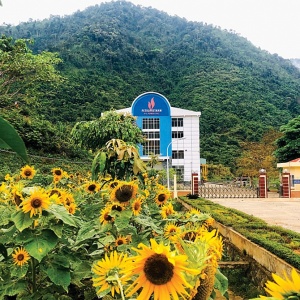 Xuân về nơi 