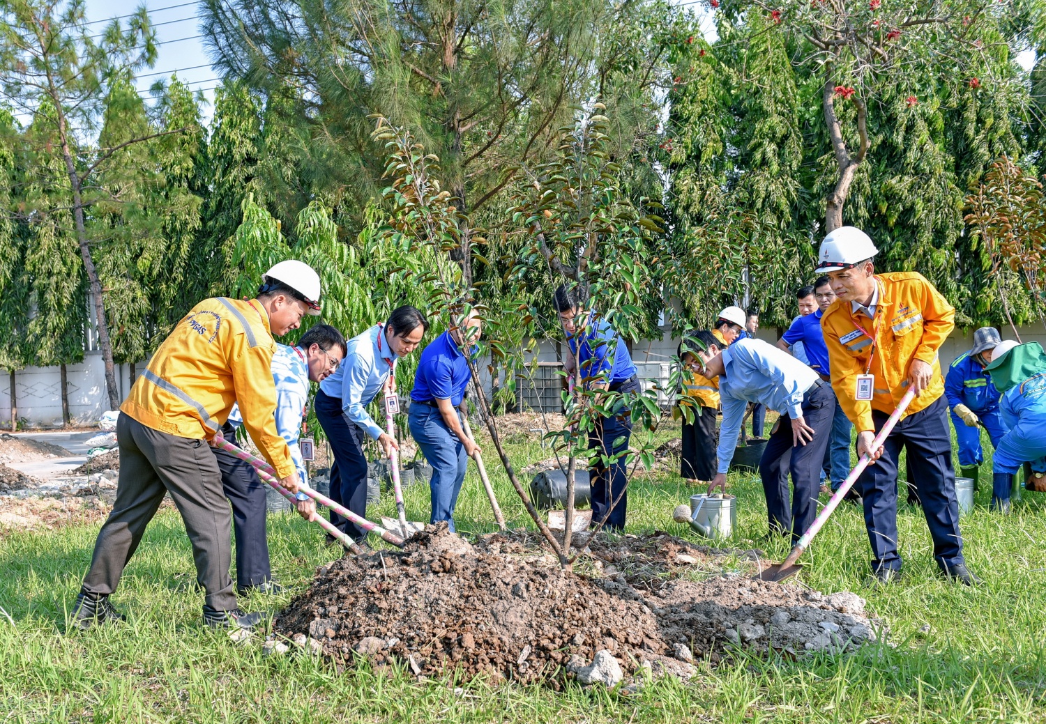Hình 2. Lãnh đạo, CBCNV PV GAS SE ươm màu xanh tại GDC Phú Mỹ Hình 2. Lãnh đạo, CBCNV PV GAS SE ươm màu xanh tại GDC Phú Mỹ
