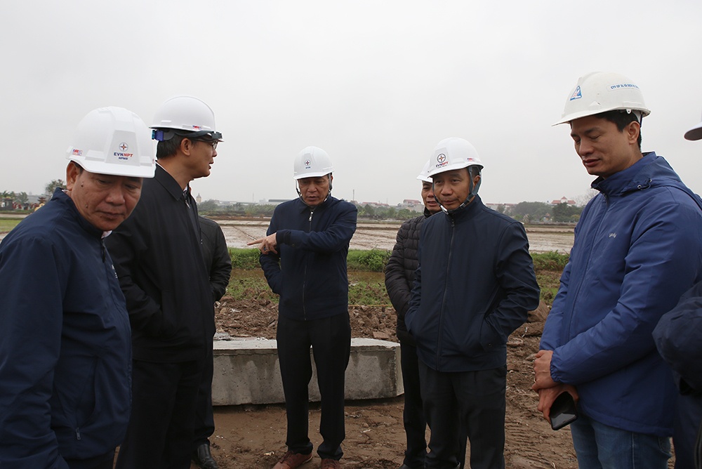 Hải Dương: Ưu tiên nguồn lực hoàn thành vị trí móng cọc Dự án đường dây 500kV mạch 3