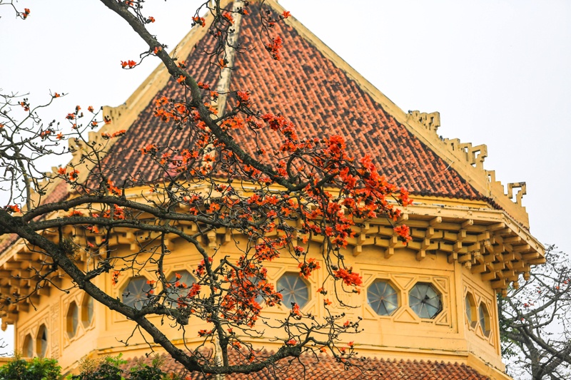 Thơ mộng sắc hoa tháng Ba