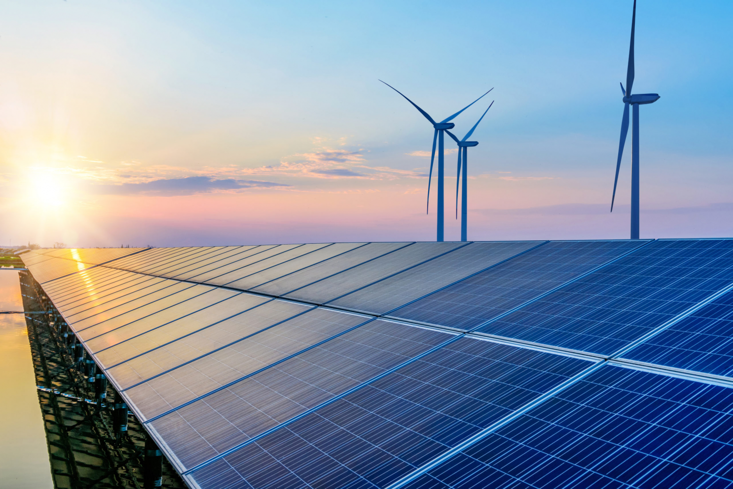 Bức tranh thị trường turbine gió và tấm pin năng lượng mặt trời