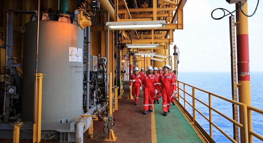 Xuân mới trên Hải Thạch - Mộc Tinh Xuân mới trên Hải Thạch - Mộc Tinh