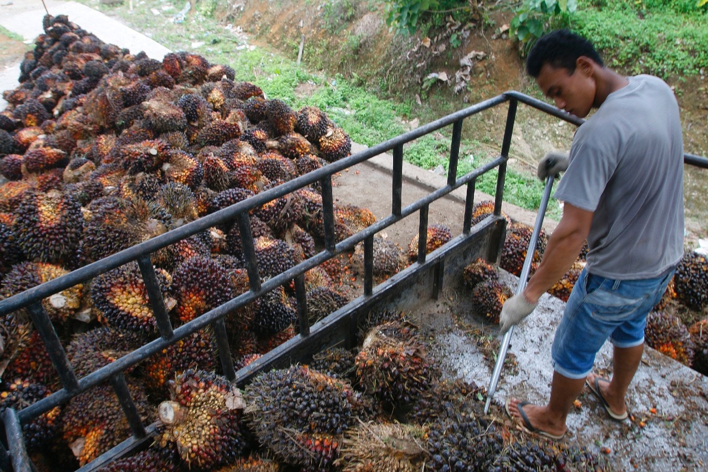 Tranh chấp về nhiên liệu sinh học: WTO ra phán quyết ủng hộ EU Tranh chấp về nhiên liệu sinh học: WTO ra phán quyết ủng hộ EU