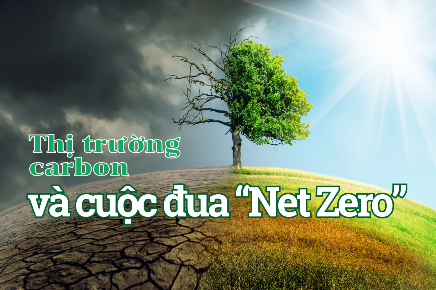 Thị trường carbon và cuộc đua “Net Zero” Thị trường carbon và cuộc đua “Net Zero”
