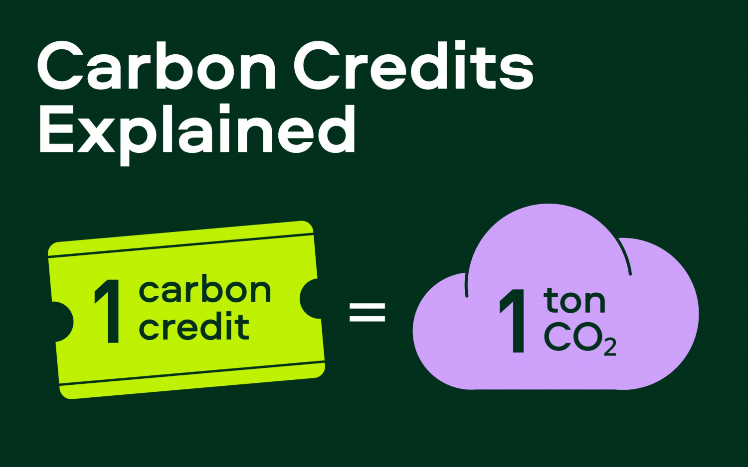 Thị trường carbon và cuộc đua “Net Zero” Thị trường carbon và cuộc đua “Net Zero”
